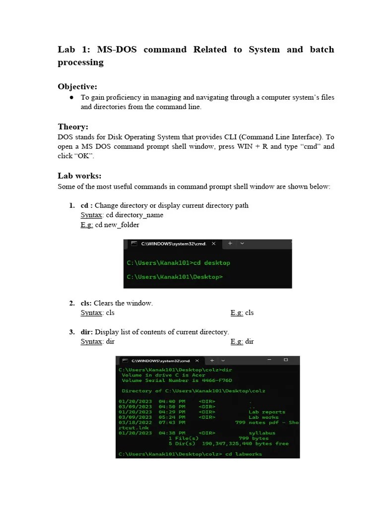 Lab 1 MS DOS Command Related To System And Batch Processing 1 | PDF ...