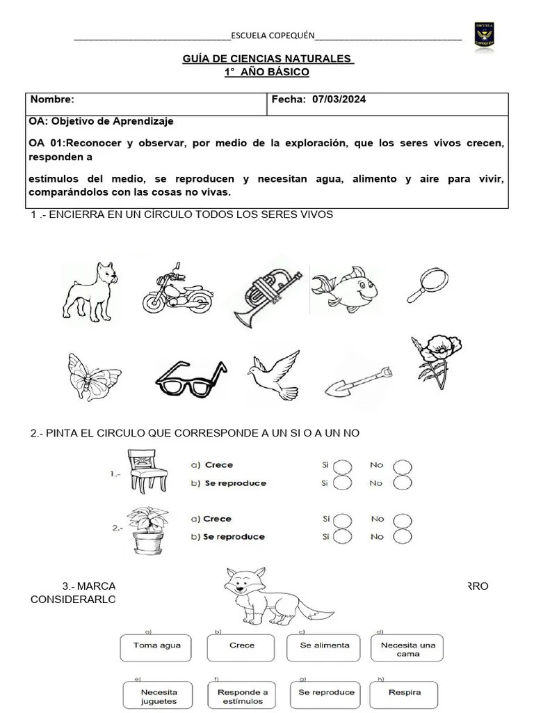 Guia Seres Vivos Primero Basico | PDF