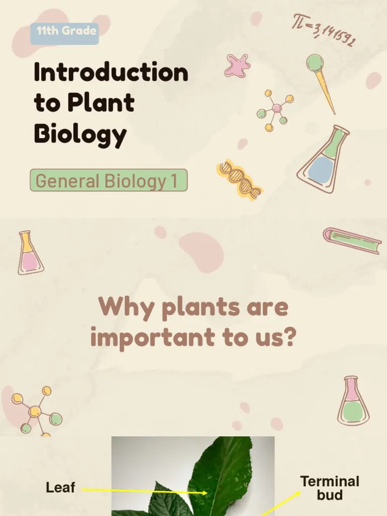 Week 1 Part 2 Introduction To Plant Biology | PDF | Chloroplast | Leaf
