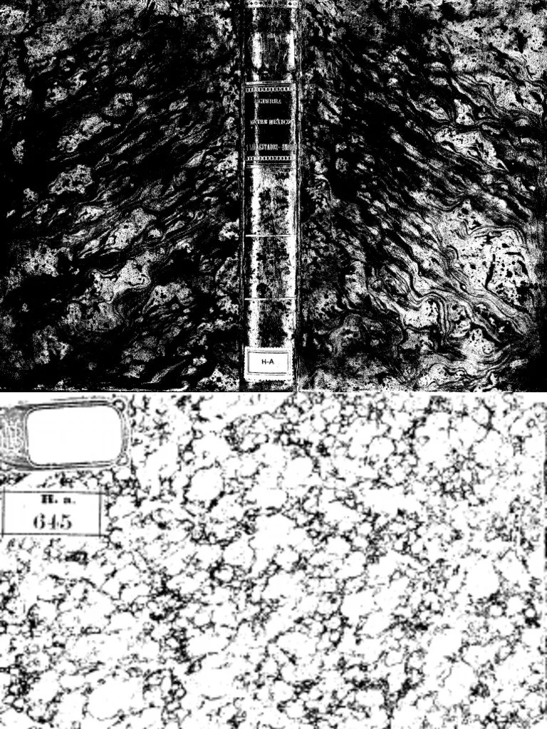 Apuntes Para La Historia De La Guerra Entre MExico Y Los Estados-Unidos | PDF | Florida | Francia