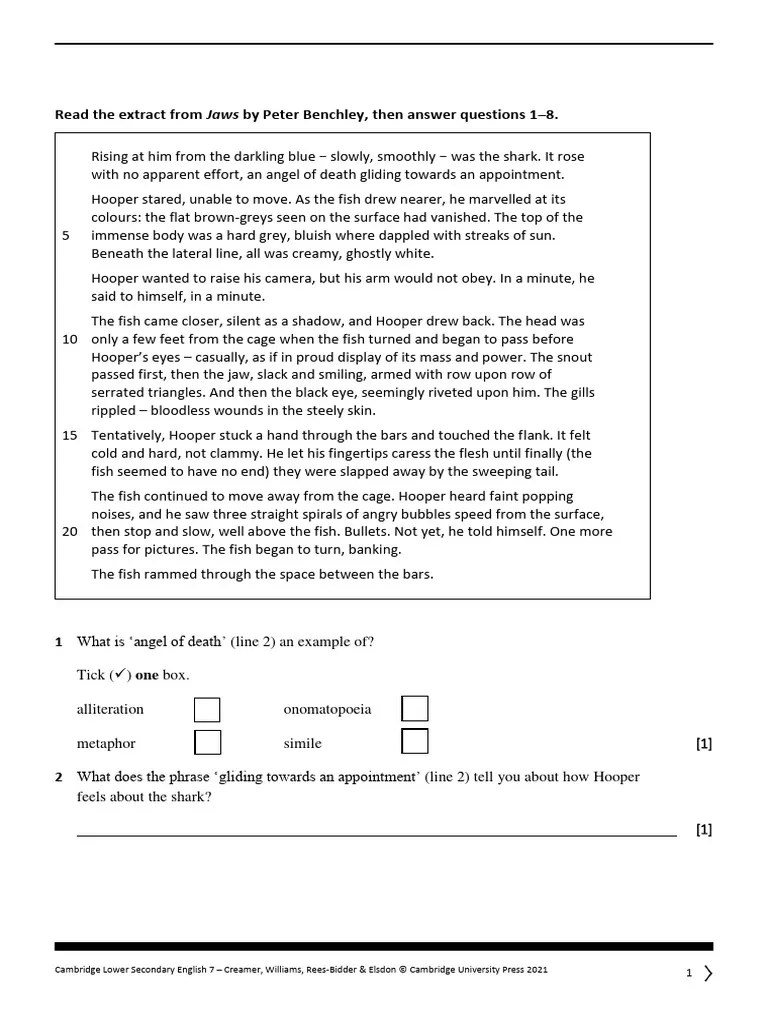 Grade 6 Revision Comprehension Worksheet For Cambridge Lower Secondary | PDF
