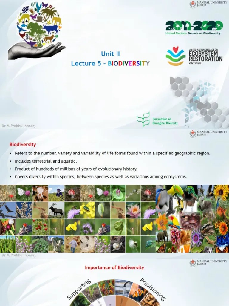 Lecture 5 - Biodiversity | PDF