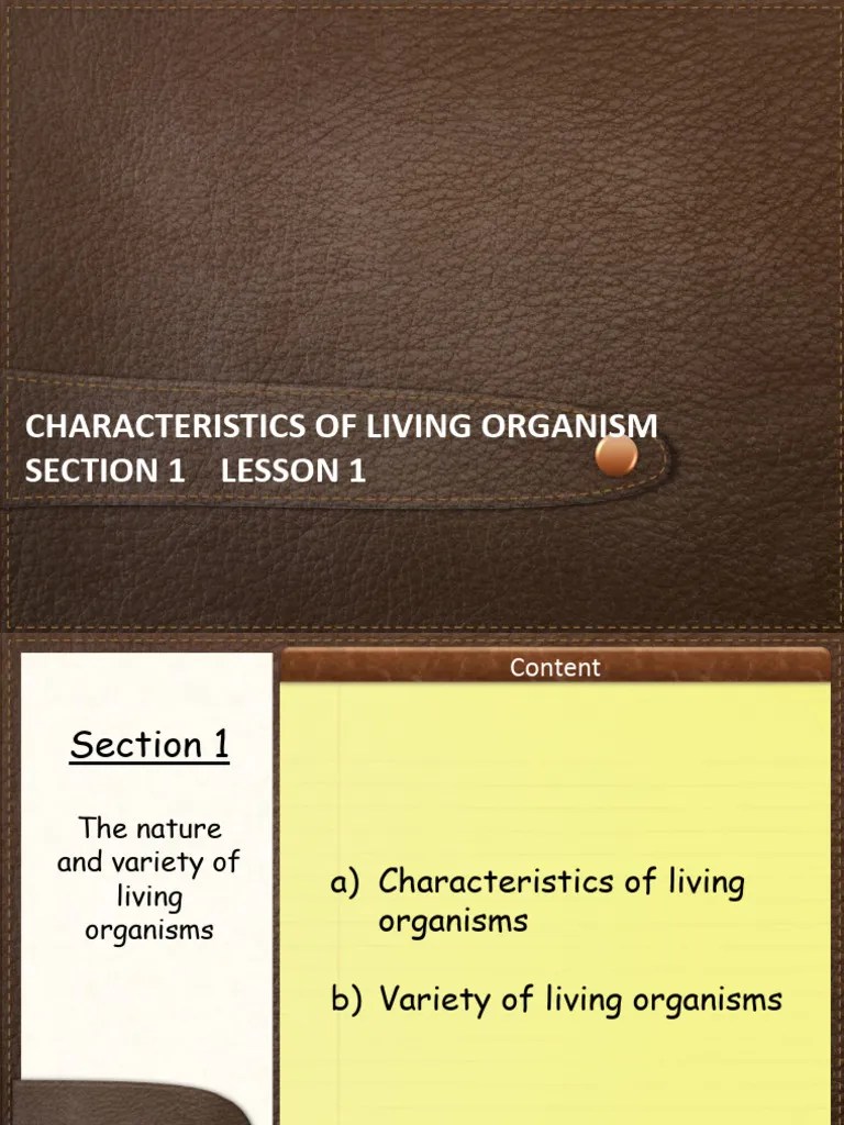 Biology VII Section 1 Lesson 1 Characterisitcs Of Living Things ...