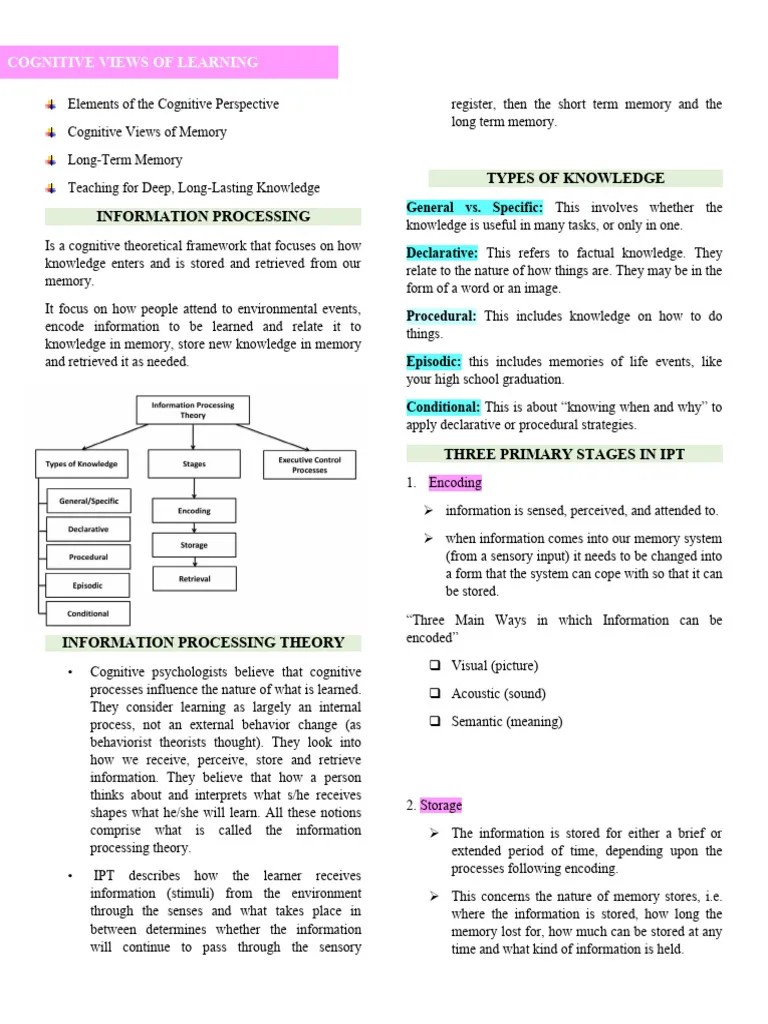 Information Processing | PDF | Memory | Information