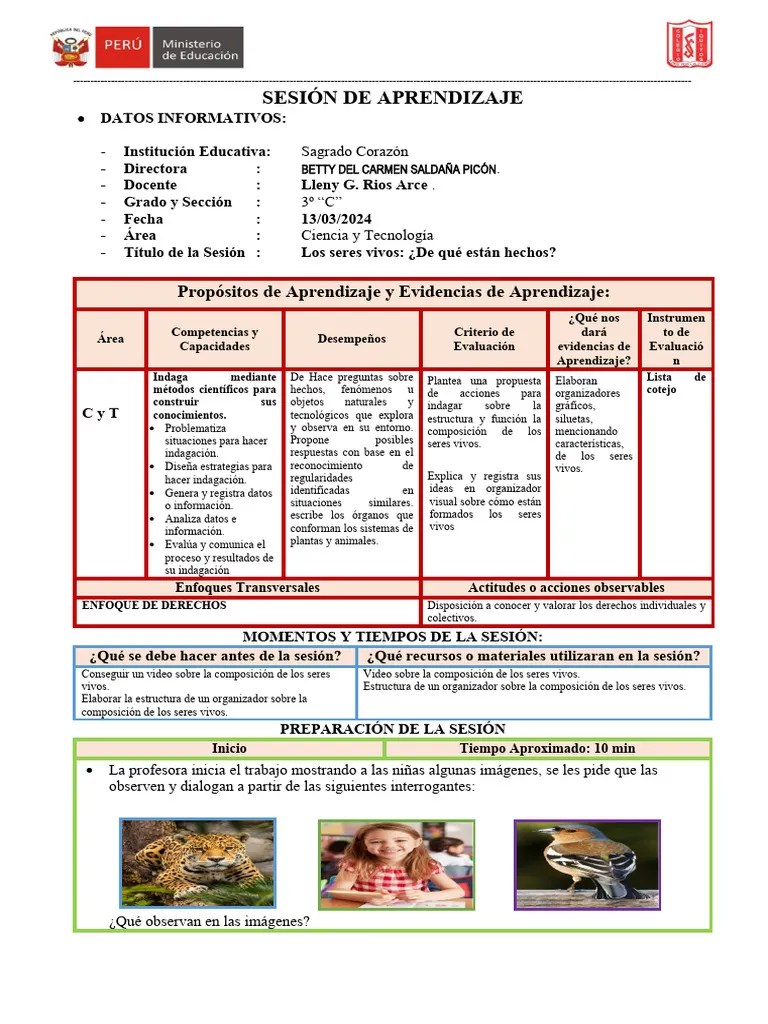 SESIÓN De APRENDIZAJE #04 - Los Seres Vivos De Qué Están Hechos | PDF | Aprendizaje | Evaluación