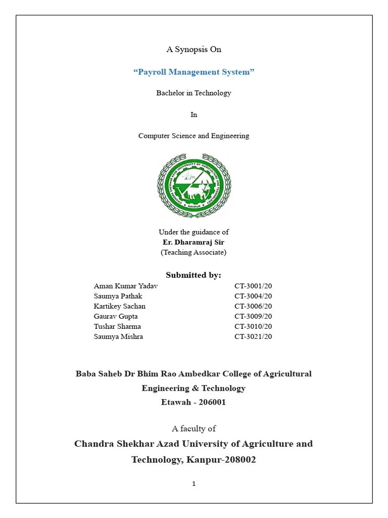 Payroll | PDF | Information Technology | Computing