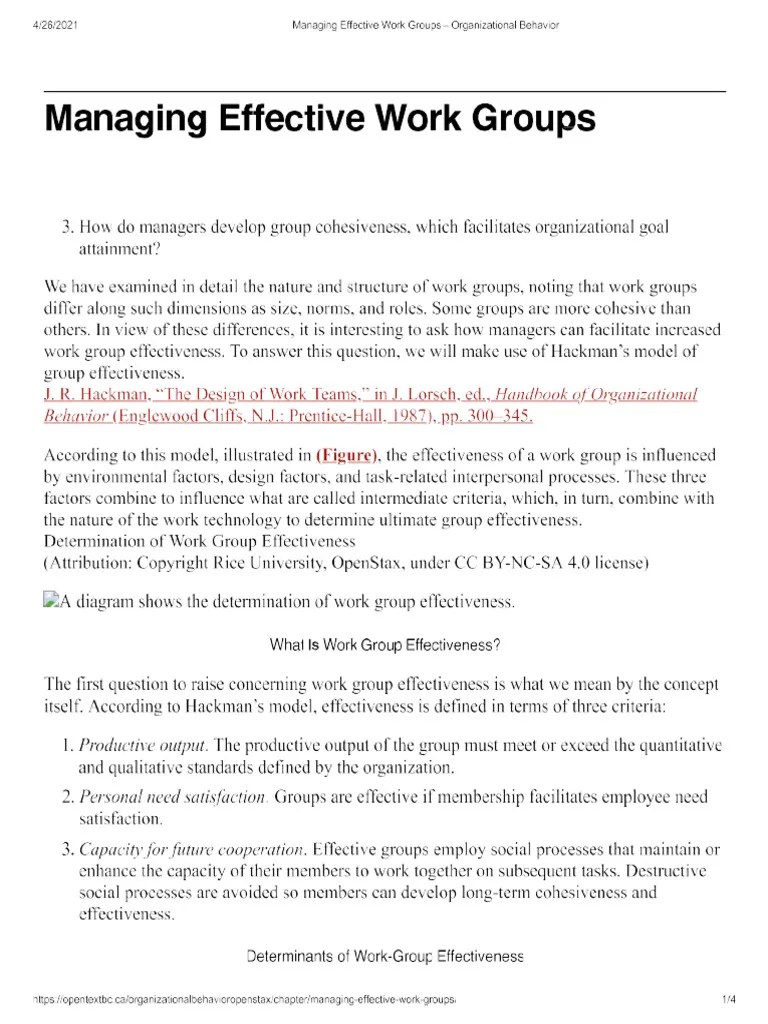 5.3. Managing Effective Work Groups | PDF