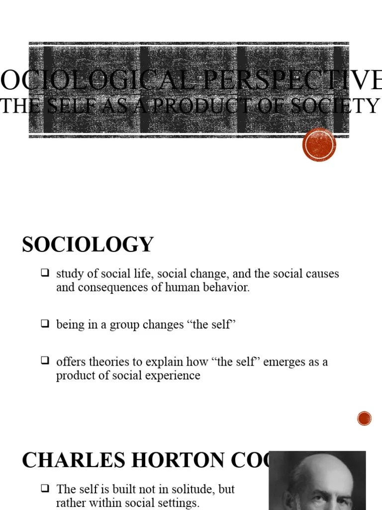 Chapter 2.5 Sociological Perspectives | PDF | Self Concept | Behavioural Sciences