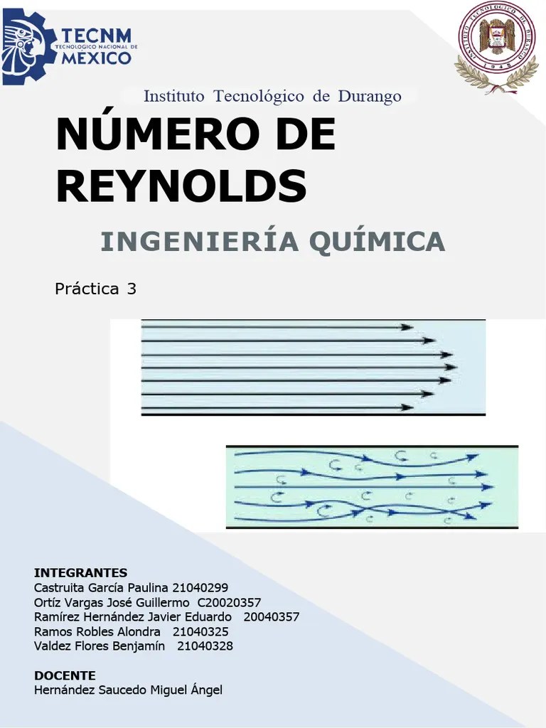 Práctica 3 Número De Reynolds | PDF | Numero Reynolds | Dinámica De Fluidos