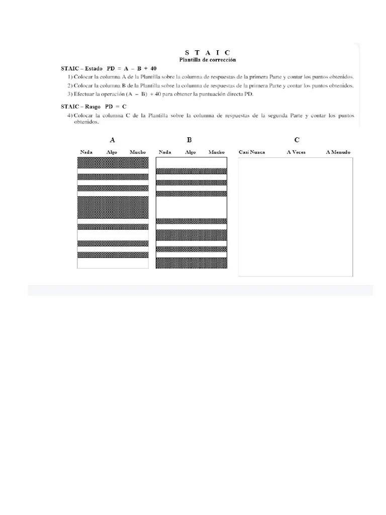 PLANTILLA DE CORRECCIÓN STAIC | PDF