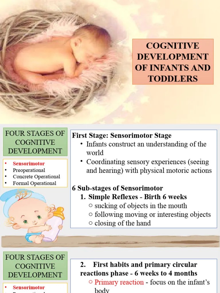 Cognitive-Development | PDF | Language Acquisition | Cognitive Science