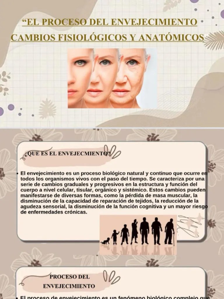 Procesos De Envejecimiento | PDF