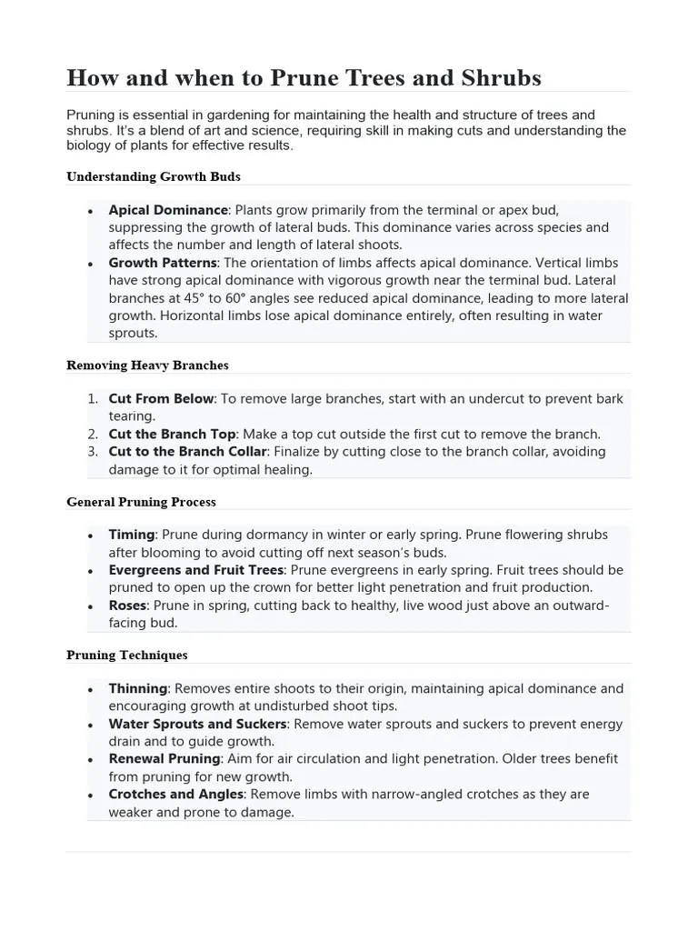 How And When To Prune Trees And Shrubs | Download Free PDF | Pruning | Trees