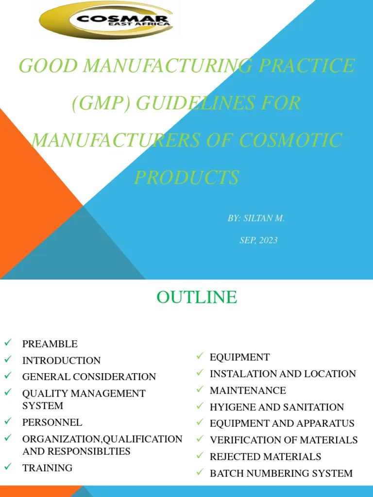 GMP Guidelines For Manufacturers | PDF | Quality Management System | Safety