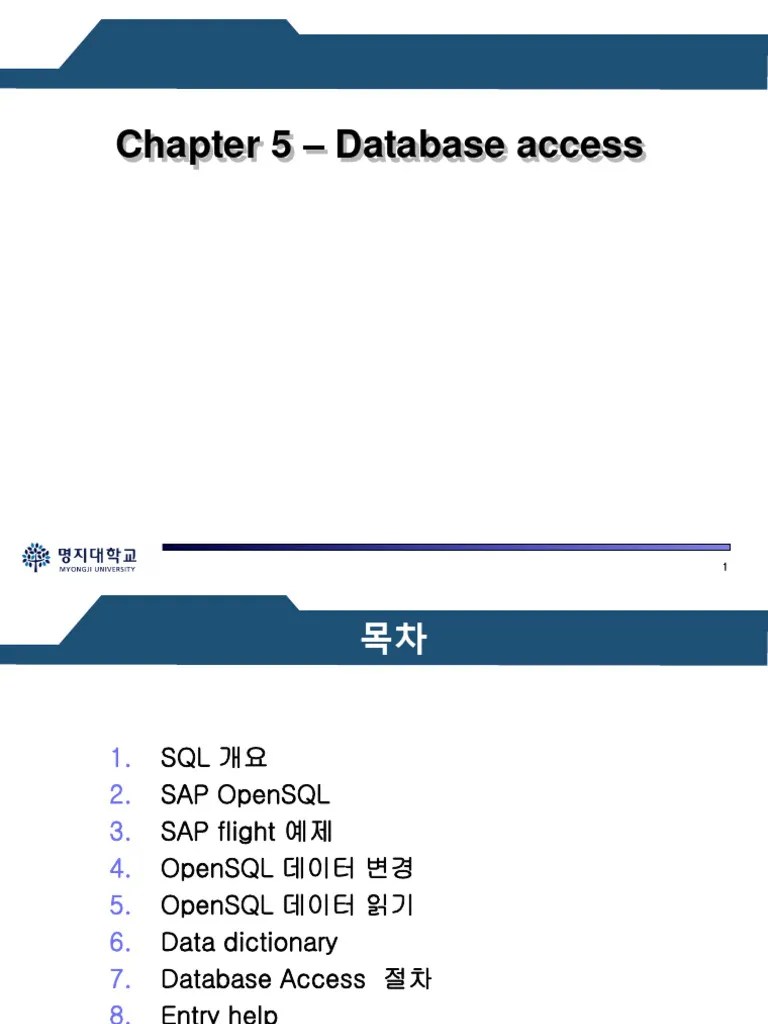 L05 Database Access | PDF
