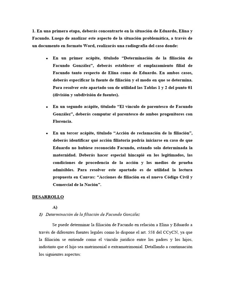 Trabajo Practico 4 - Derecho De Familia - Parte 1 | PDF | Parentesco