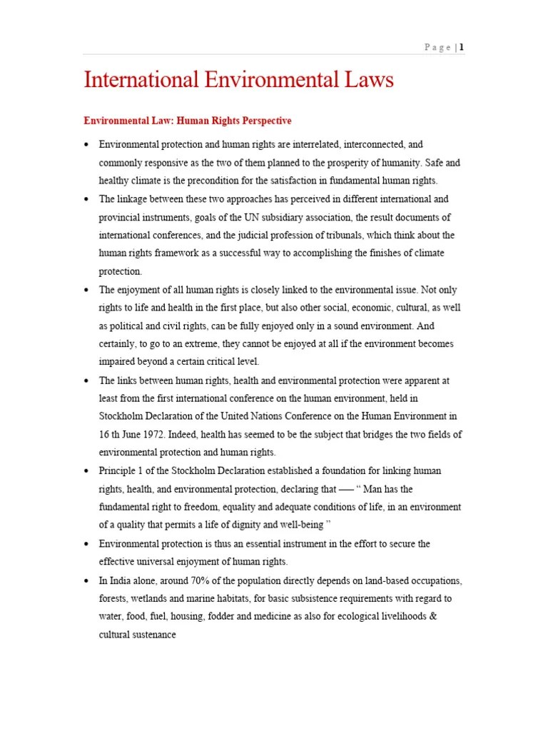 International Environmental Laws | PDF | Sustainability | Sustainable Development