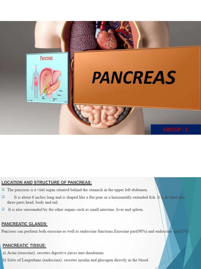 Pancreas PDF (1) . | PDF | Pancreas | Diabetes