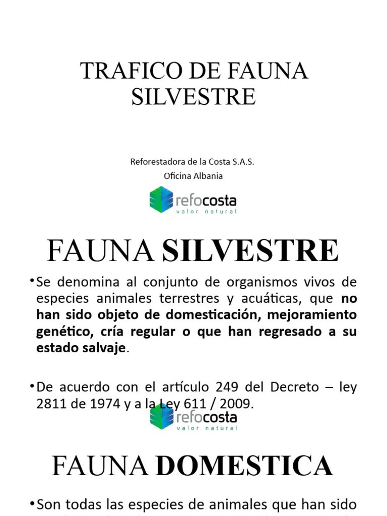 Trafico De Fauna Silvestre | PDF | Fauna | Entorno Natural