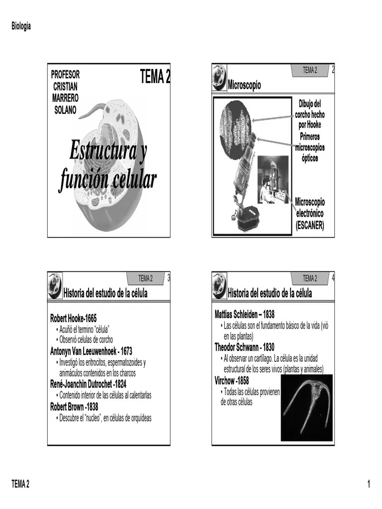 Biología TEMA 2 1. Las Células Son El Fundamento Básico De La Vida (Vió En Las Plantas) Acuñó El ...