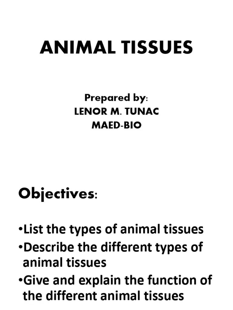Animal Tissues | PDF | Epithelium | Connective Tissue