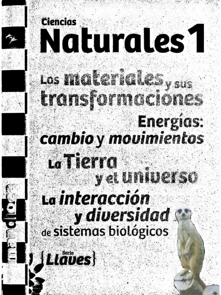 CS Naturales 1° | PDF