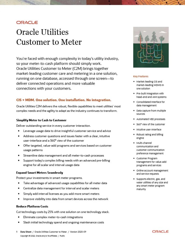 Utilities customer meter c2m ds
