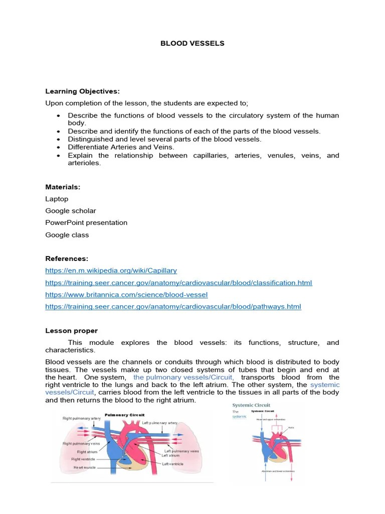 Module 11 Blood Vessels Pdf Artery Capillary