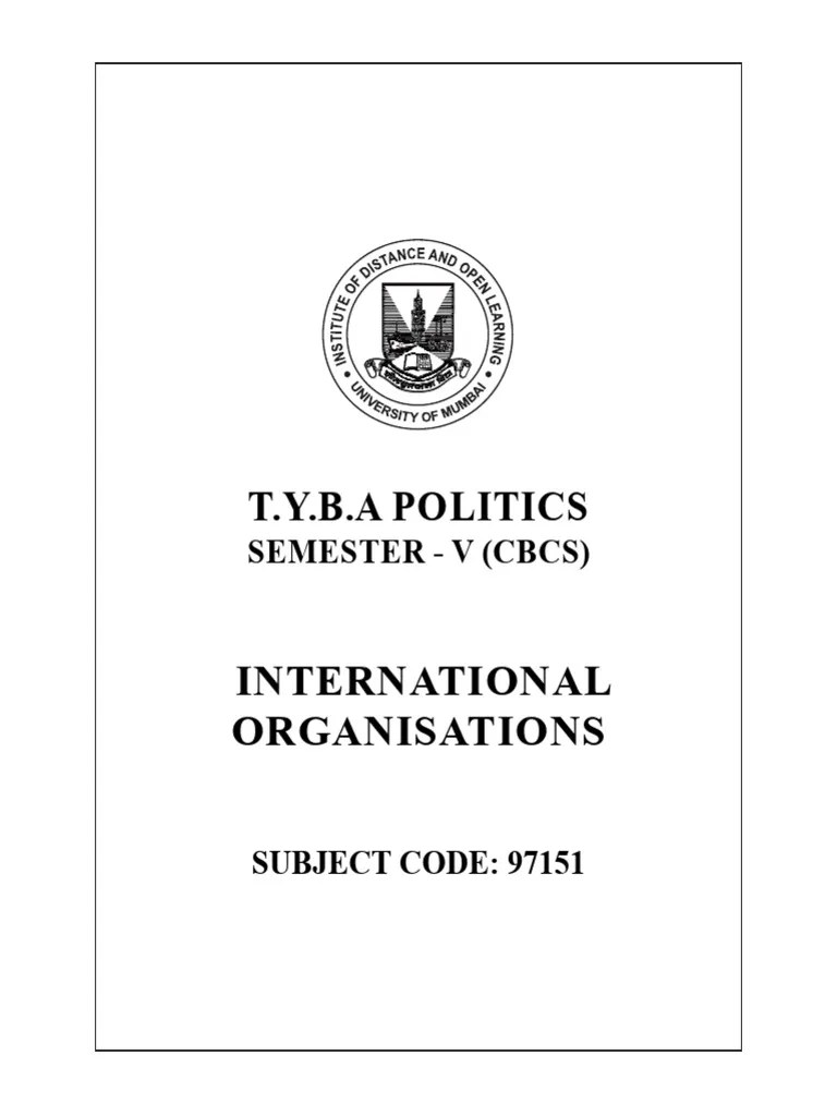 Paper 8 International Organizations English Version | PDF | United Nations | International Relations