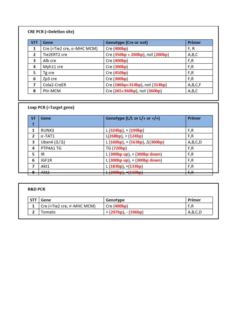 PCR Genotyping | PDF