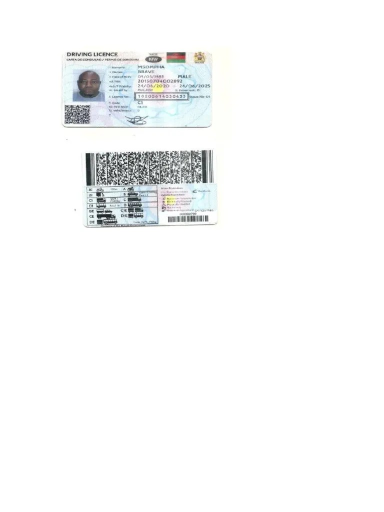 Driving Licence | PDF