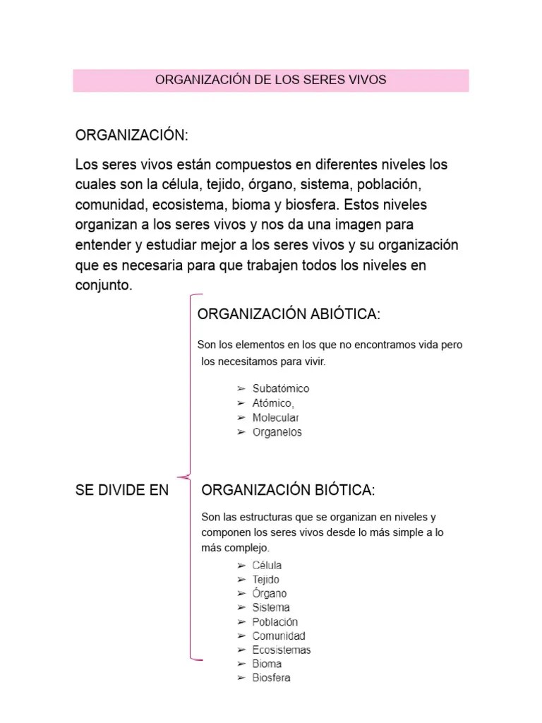 Clase No. 1 Organización De Los Seres Vivos | PDF