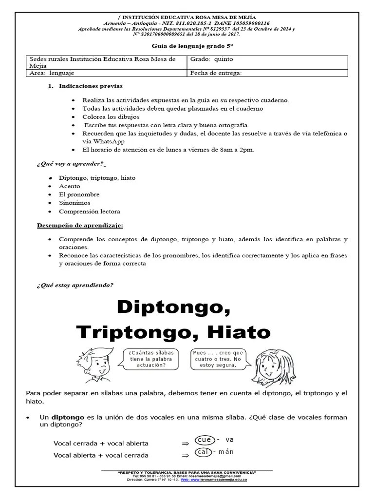 Guia Lenguaje Grado 5° | PDF | Biología Celular) | Anatomía