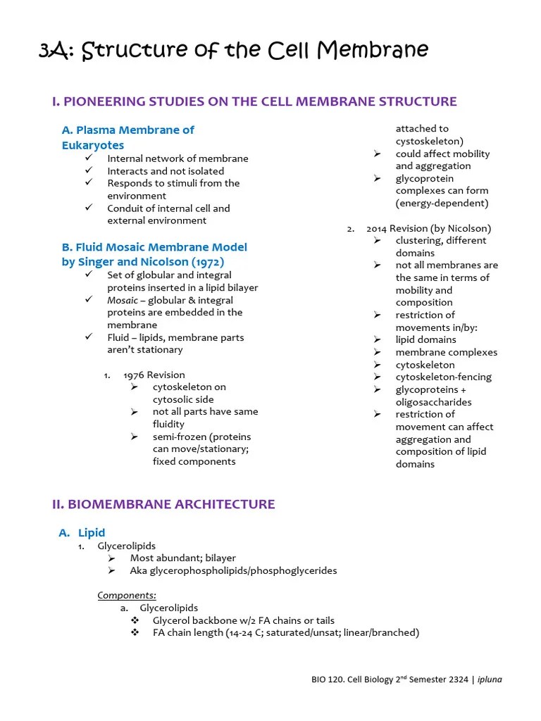 3A. Structure Of The Cell Membrane | PDF | Cell Membrane | Lipid