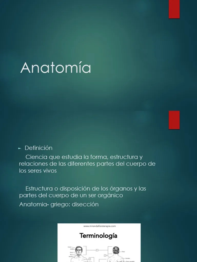 Anatomía - Generalidades. La Célula. Tejido Epitelial. Tejido Conectivo. Piel Y Anexos | PDF ...