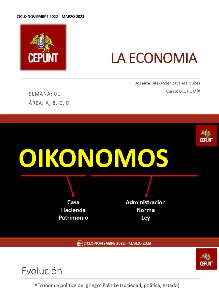 01 La Economía | PDF | Ciencias Económicas | Teoría