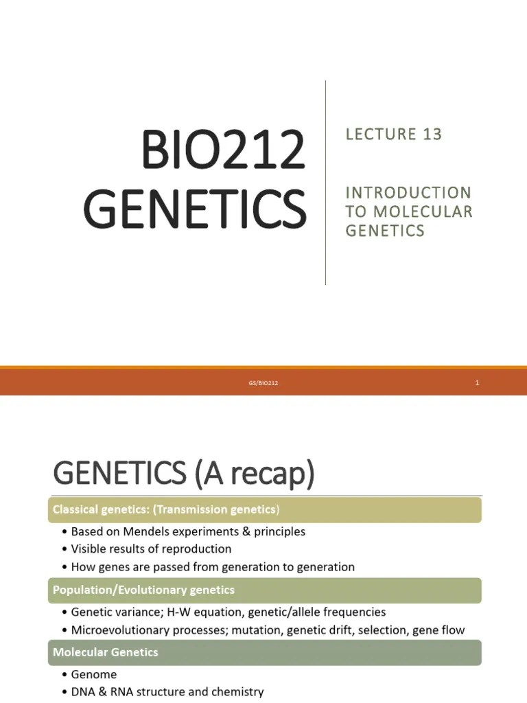 Bio212 2024 L13 Introduction To Molecular Genetics | PDF | Dna ...