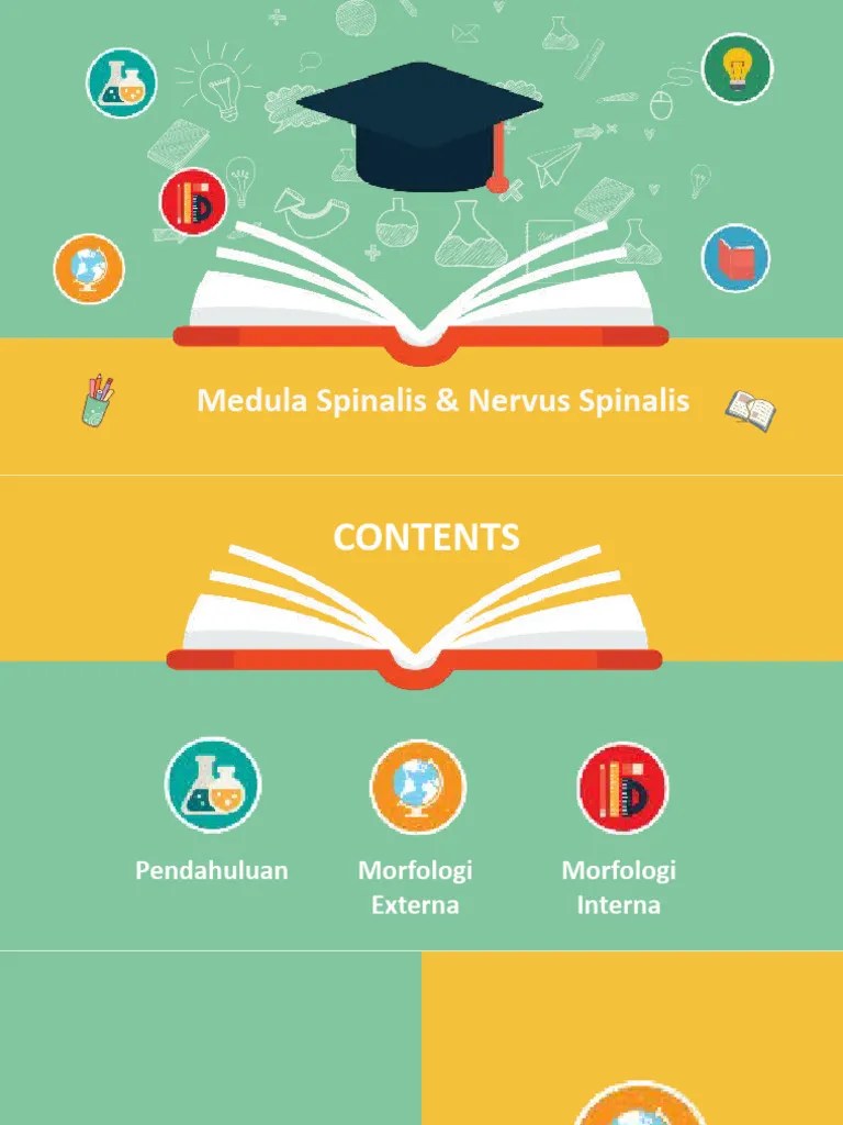 Medulla Spinalis & Nervus Spinalis | PDF | Ilmu Sosial | Kajian Bahasa Asing