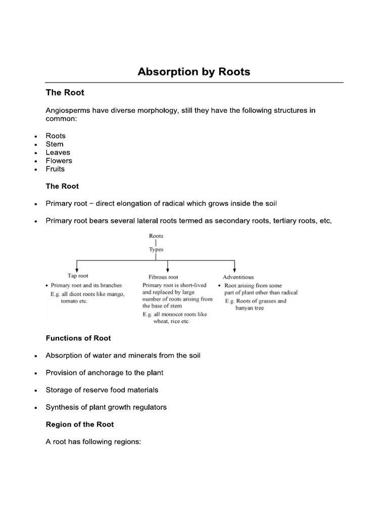Biology Chapter-4 | PDF