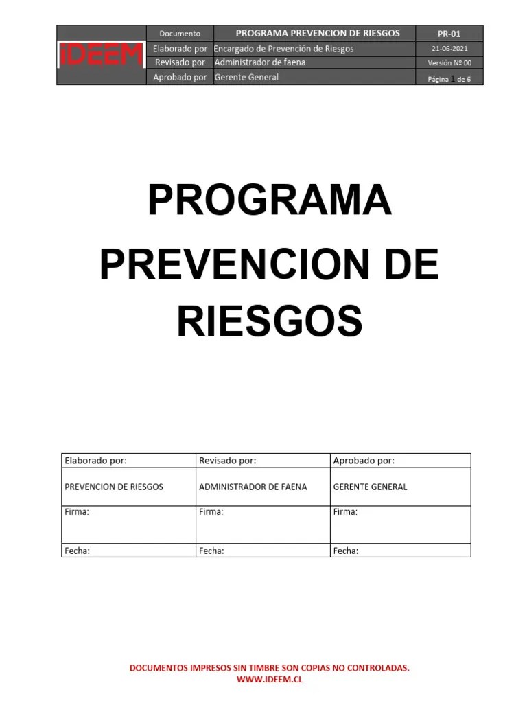 Programa De Prevencion De Riesgos Ideem | PDF | Business | Seguridad Y Salud Ocupacional