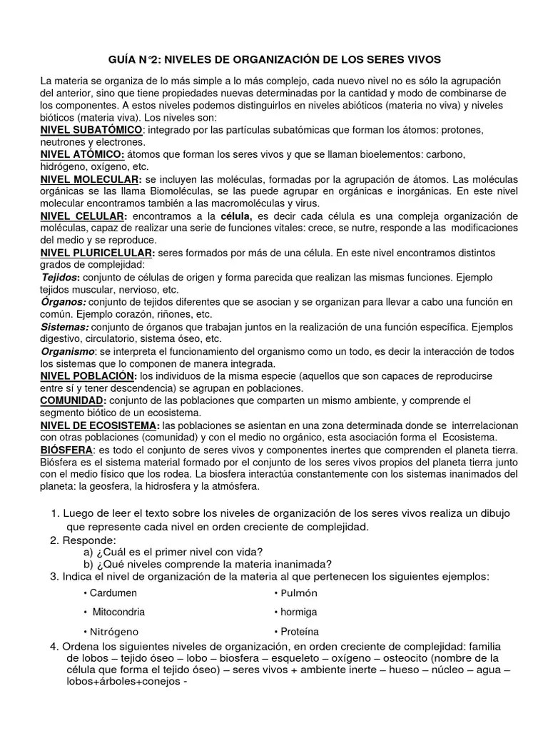 Guía N°2 Niveles De Organización De Los Seres Vivos | PDF | Organismos | Moléculas