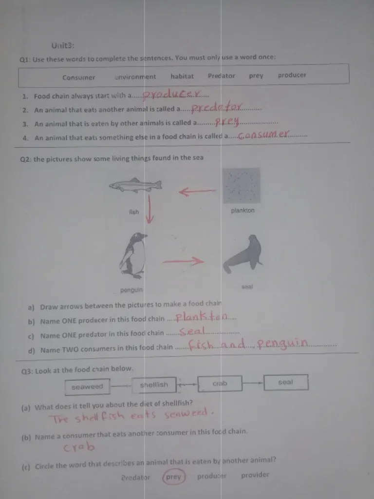Stage 6 Science T2 Final Answer Key | PDF