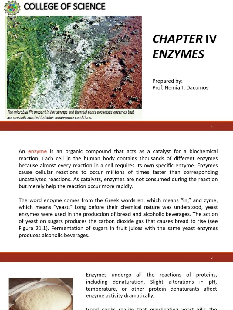 Chapter 4 - Enzymes In BIOCHEMISTRY | PDF | Enzyme | Cofactor (Biochemistry)