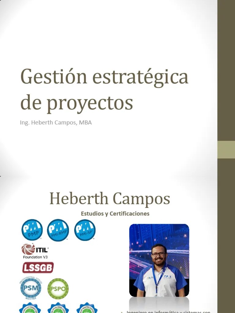 Gesti N De Proyectos Capitulo 1 Pdf Gesti N De Proyectos - City Illustrations - High Quality Retina Collection