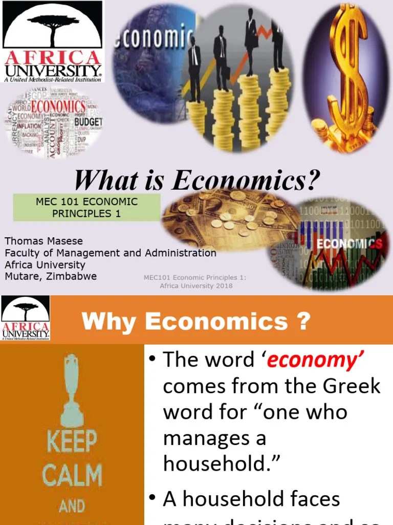 1 Introduction Economics | Download Free PDF | Economics | Economies