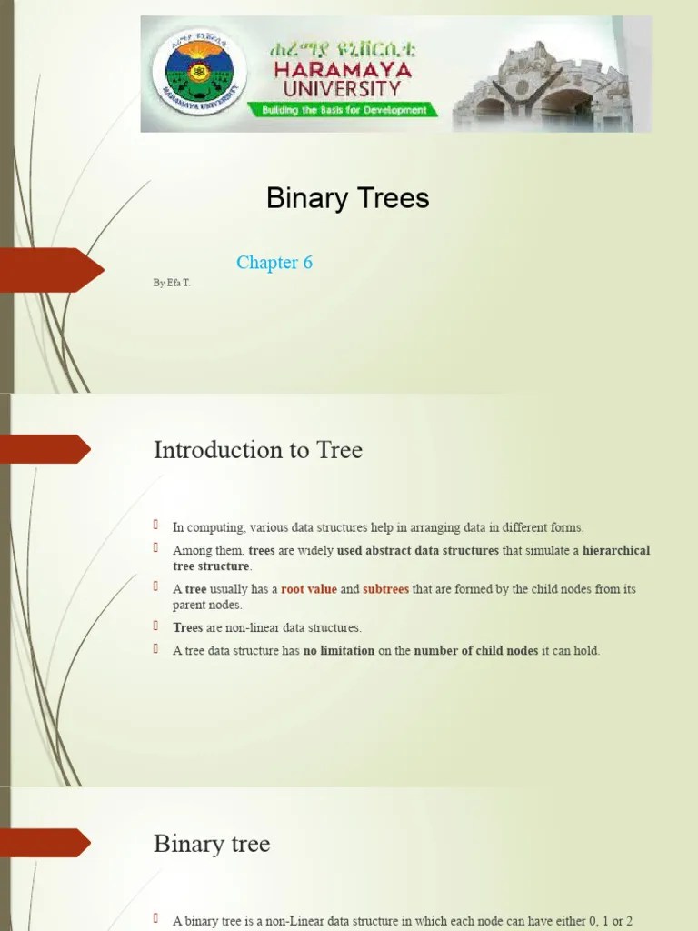 Binary Tree | Download Free PDF | Algorithms | Algorithms And Data ...