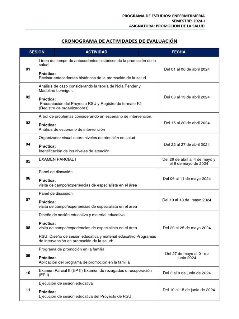 Cronograma De Actividades Promsa - 2024-I | PDF