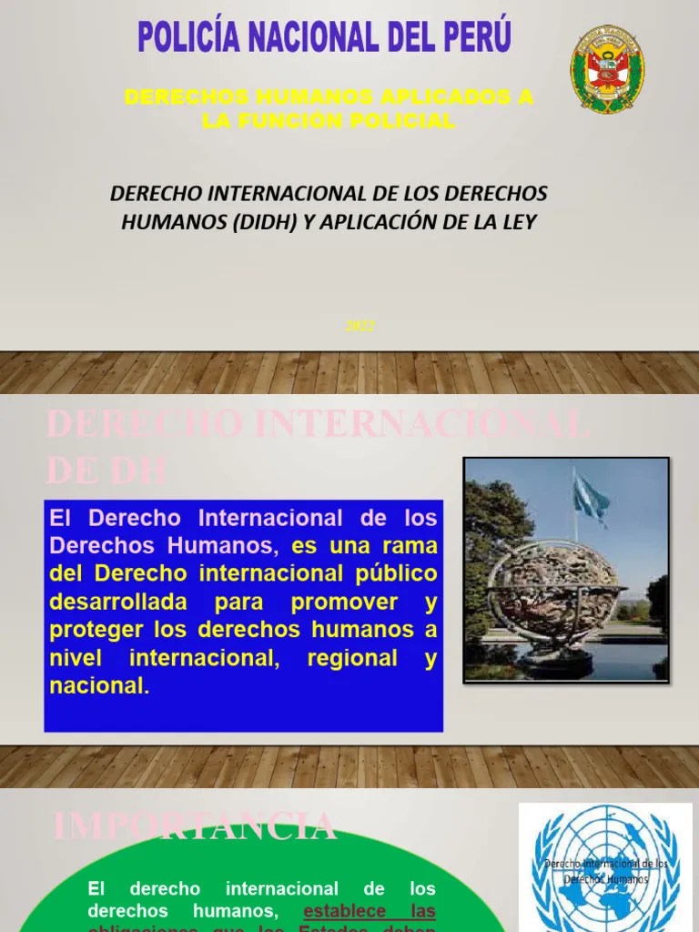 DERECHO INTERNACIONAL DE LOS DDHH Y APLICACION DE LA LEY | PDF ...