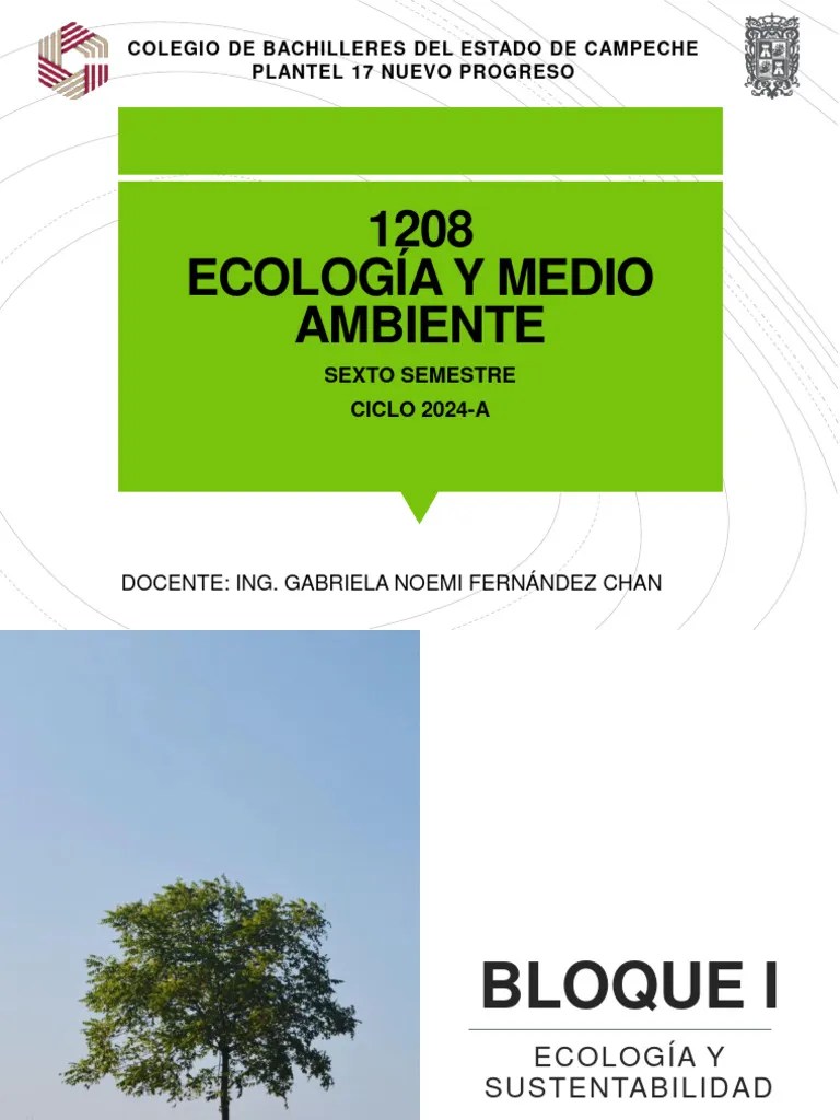 Diapositivas Del Medio Ambiente Pdf - Professional Retina Landscape Patterns | Free Download