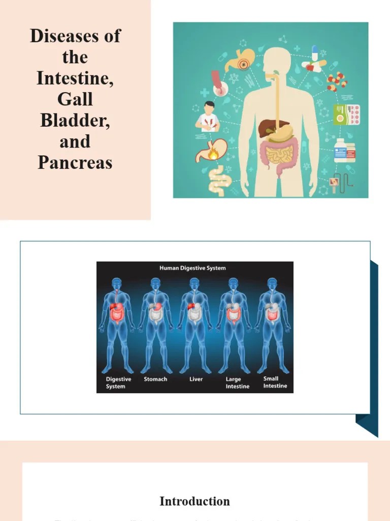 Digestive System Pathology | PDF | Gastrointestinal Tract | Gallbladder